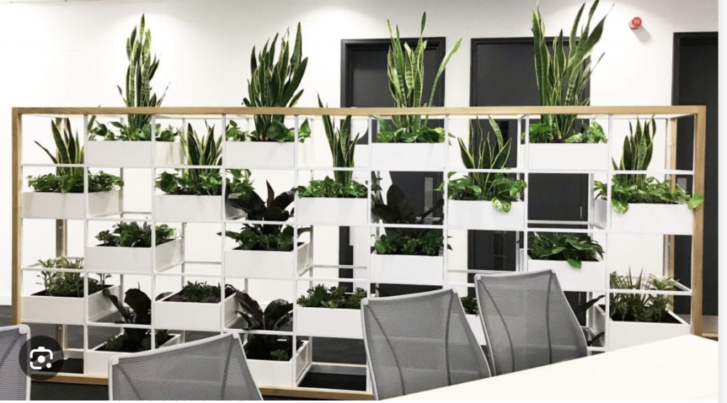 office plant rental
